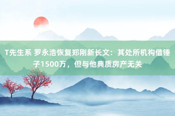 T先生系 罗永浩恢复郑刚新长文：其处所机构借锤子1500万，但与他典质房产无关