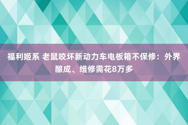 福利姬系 老鼠咬坏新动力车电板箱不保修：外界酿成、维修需花8万多