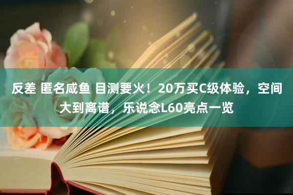 反差 匿名咸鱼 目测要火！20万买C级体验，空间大到离谱，乐说念L60亮点一览