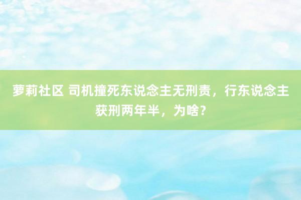 萝莉社区 司机撞死东说念主无刑责，行东说念主获刑两年半，为啥？