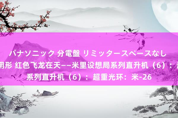 パナソニック 分電盤 リミッタースペースなし 露出・半埋込両用形 红色飞龙在天——米里设想局系列直升机（6）：超重光环：米-26