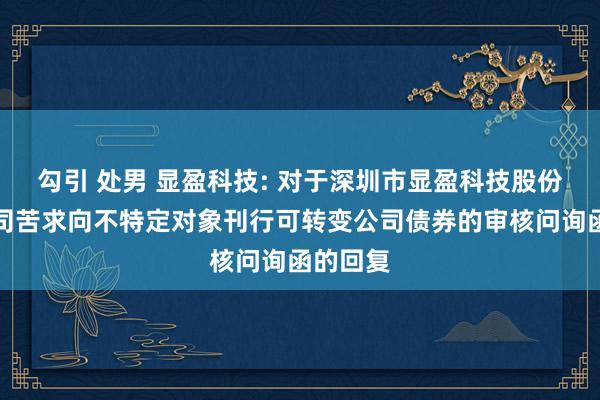 勾引 处男 显盈科技: 对于深圳市显盈科技股份有限公司苦求向不特定对象刊行可转变公司债券的审核问询函的回复