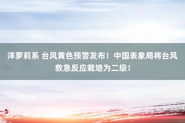 洋萝莉系 台风黄色预警发布！中国表象局将台风救急反应栽培为二级！