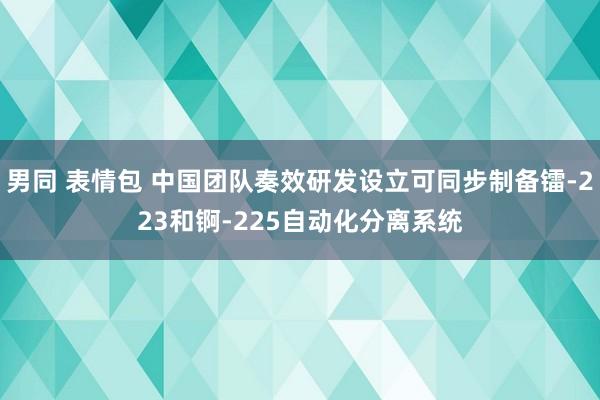 男同 表情包 中国团队奏效研发设立可同步制备镭-223和锕-225自动化分离系统