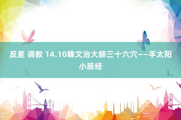 反差 调教 14.10韓文治大師三十六穴——手太阳小肠经