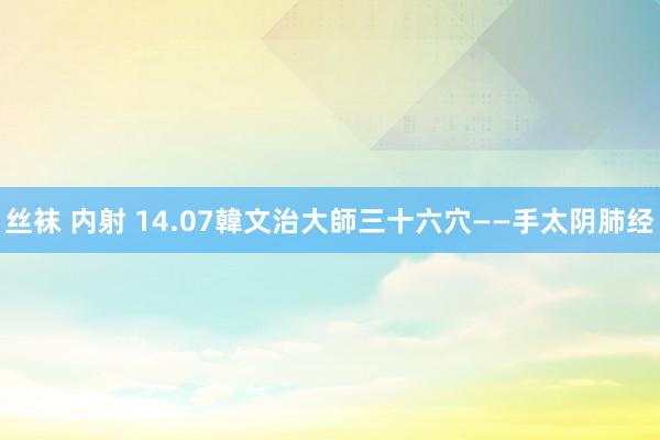 丝袜 内射 14.07韓文治大師三十六穴——手太阴肺经