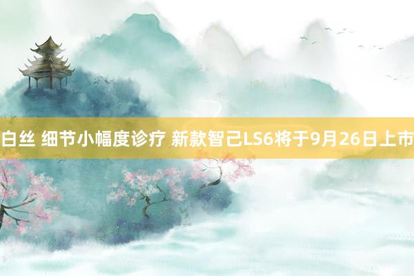 白丝 细节小幅度诊疗 新款智己LS6将于9月26日上市