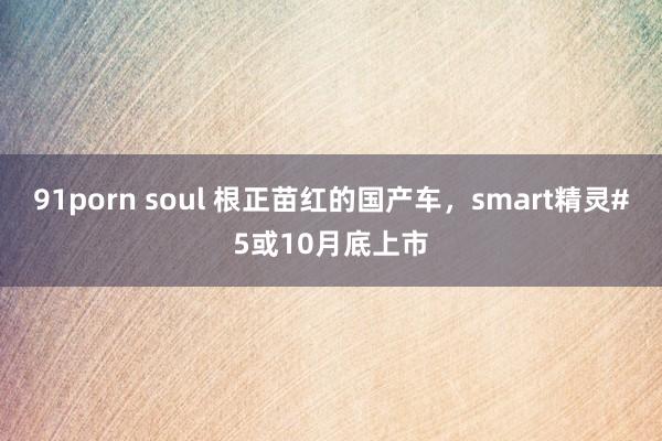 91porn soul 根正苗红的国产车，smart精灵#5或10月底上市