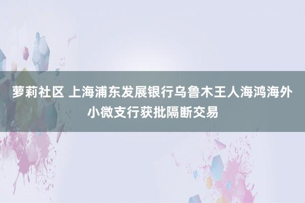 萝莉社区 上海浦东发展银行乌鲁木王人海鸿海外小微支行获批隔断交易