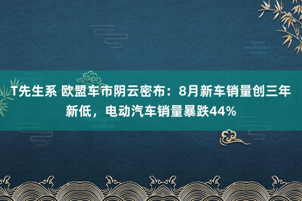 T先生系 欧盟车市阴云密布：8月新车销量创三年新低，电动汽车销量暴跌44%