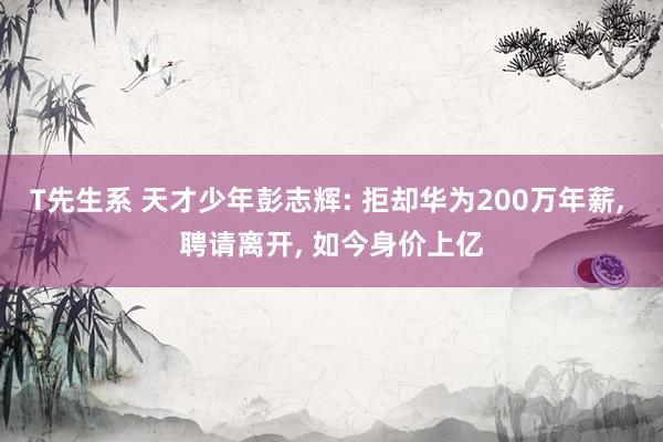 T先生系 天才少年彭志辉: 拒却华为200万年薪, 聘请离开, 如今身价上亿