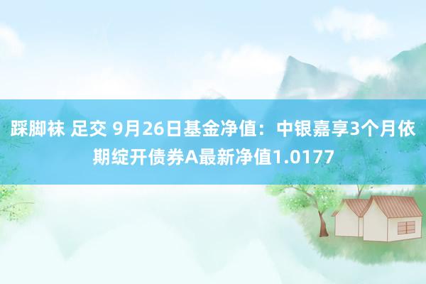 踩脚袜 足交 9月26日基金净值：中银嘉享3个月依期绽开债券A最新净值1.0177