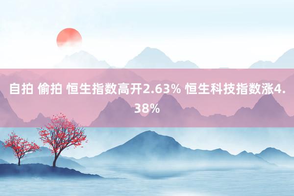 自拍 偷拍 恒生指数高开2.63% 恒生科技指数涨4.38%