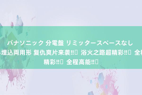 パナソニック 分電盤 リミッタースペースなし 露出・半埋込両用形 复仇爽片来袭‼️浴火之路超精彩‼️全程高能‼️