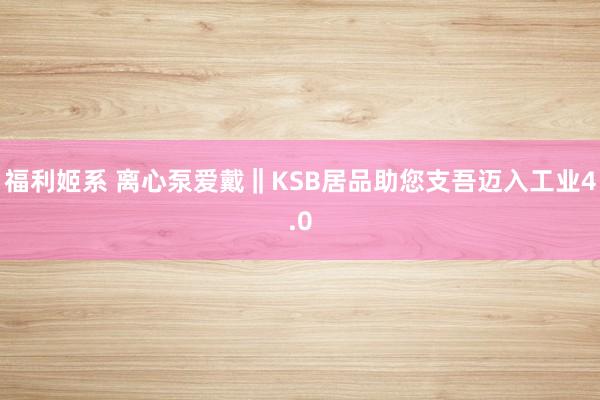 福利姬系 离心泵爱戴‖KSB居品助您支吾迈入工业4.0