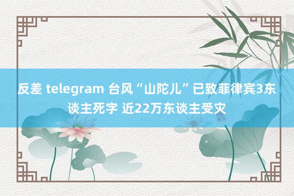 反差 telegram 台风“山陀儿”已致菲律宾3东谈主死字 近22万东谈主受灾