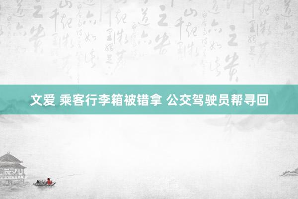 文爱 乘客行李箱被错拿 公交驾驶员帮寻回