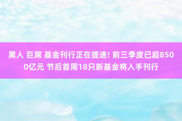 黑人 巨屌 基金刊行正在提速! 前三季度已超8500亿元 节后首周18只新基金将入手刊行