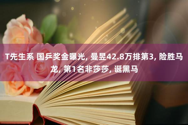 T先生系 国乒奖金曝光, 曼昱42.8万排第3, 险胜马龙, 第1名非莎莎, 诞黑马