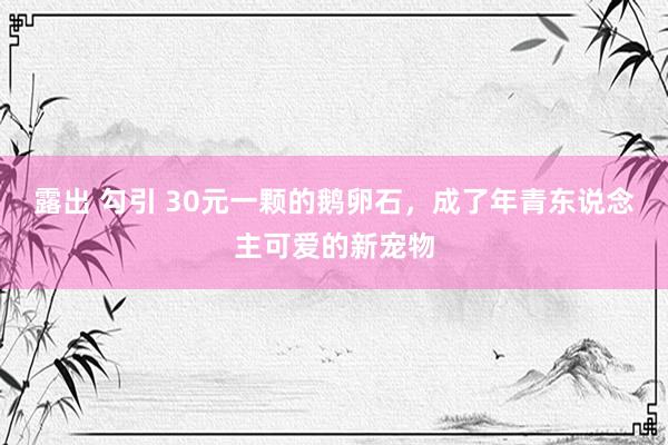 露出 勾引 30元一颗的鹅卵石，成了年青东说念主可爱的新宠物