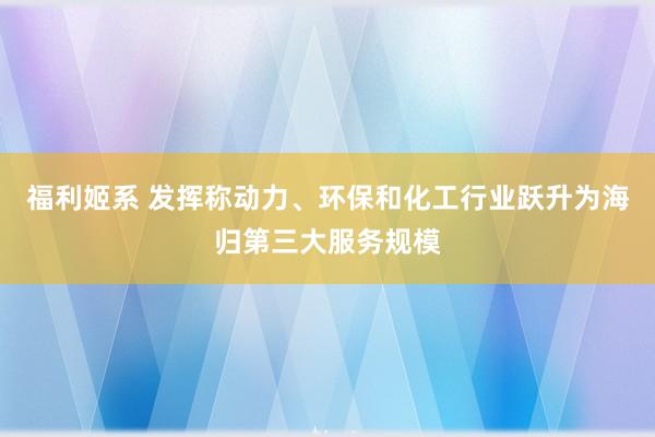 福利姬系 发挥称动力、环保和化工行业跃升为海归第三大服务规模