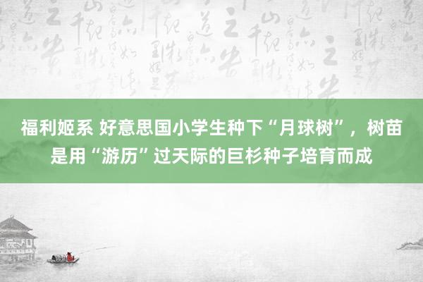 福利姬系 好意思国小学生种下“月球树”，树苗是用“游历”过天际的巨杉种子培育而成