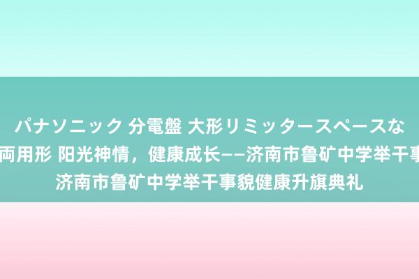 パナソニック 分電盤 大形リミッタースペースなし 露出・半埋込両用形 阳光神情，健康成长——济南市鲁矿中学举干事貌健康升旗典礼