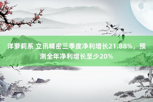 洋萝莉系 立讯精密三季度净利增长21.88%，预测全年净利增长至少20%