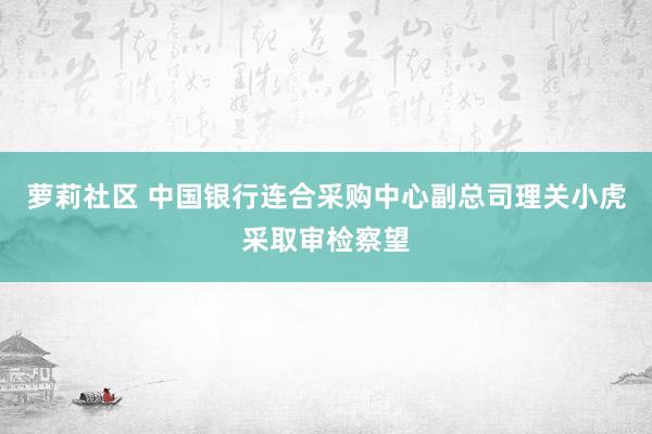 萝莉社区 中国银行连合采购中心副总司理关小虎采取审检察望