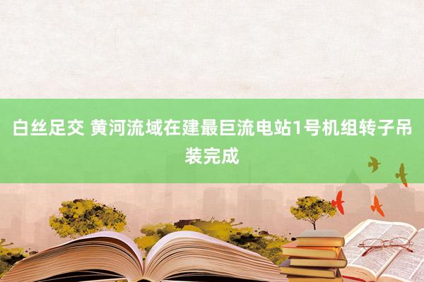 白丝足交 黄河流域在建最巨流电站1号机组转子吊装完成