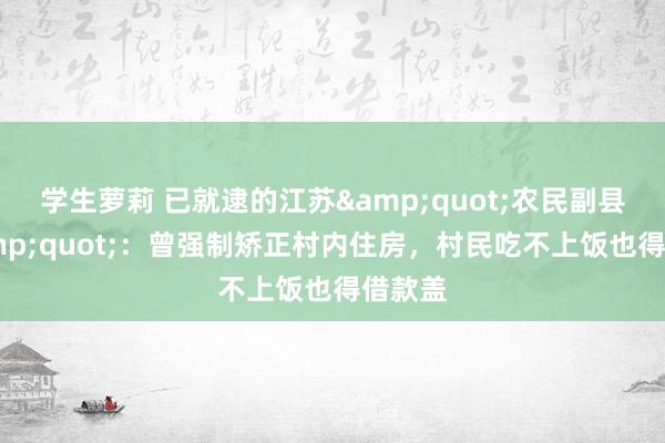 学生萝莉 已就逮的江苏&quot;农民副县长&quot;：曾强制矫正村内住房，村民吃不上饭也得借款盖