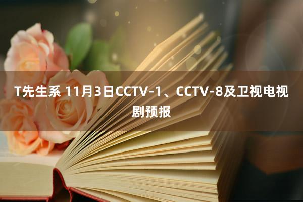 T先生系 11月3日CCTV-1、CCTV-8及卫视电视剧预报