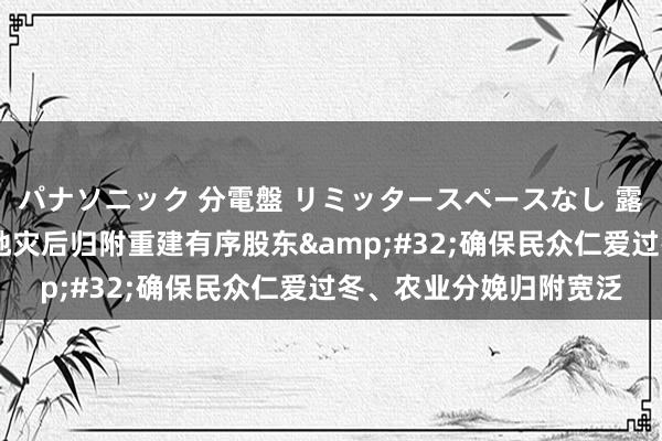 パナソニック 分電盤 リミッタースペースなし 露出・半埋込両用形 各地灾后归附重建有序股东&#32;确保民众仁爱过冬、农业分娩归附宽泛