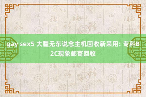 gay sex5 大疆无东说念主机回收新采用: 专科B2C现象邮寄回收