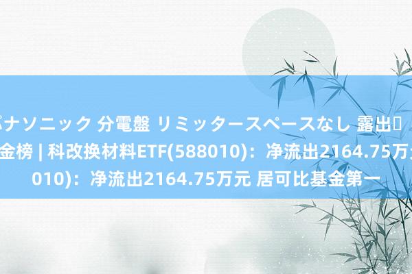 パナソニック 分電盤 リミッタースペースなし 露出・半埋込両用形 ETF资金榜 | 科改换材料ETF(588010)：净流出2164.75万元 居可比基金第一