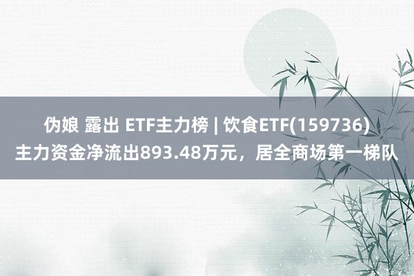 伪娘 露出 ETF主力榜 | 饮食ETF(159736)主力资金净流出893.48万元，居全商场第一梯队