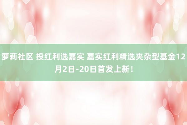 萝莉社区 投红利选嘉实 嘉实红利精选夹杂型基金12月2日-20日首发上新！