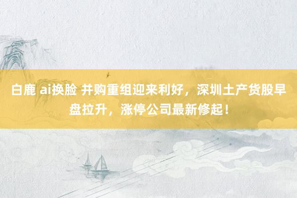 白鹿 ai换脸 并购重组迎来利好，深圳土产货股早盘拉升，涨停公司最新修起！