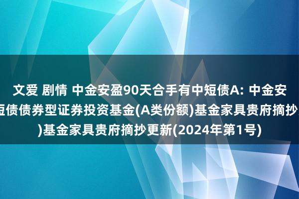 文爱 剧情 中金安盈90天合手有中短债A: 中金安盈90天合手有期中短债债券型证券投资基金(A类份额)基金家具贵府摘抄更新(2024年第1号)