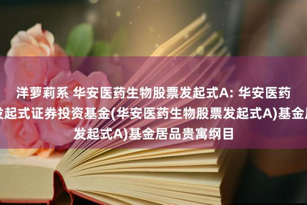 洋萝莉系 华安医药生物股票发起式A: 华安医药生物股票型发起式证券投资基金(华安医药生物股票发起式A)基金居品贵寓纲目