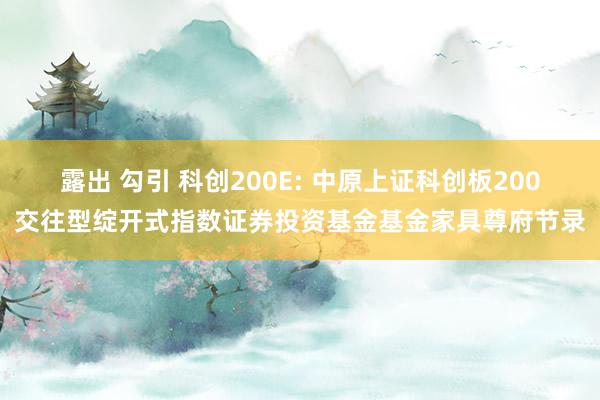 露出 勾引 科创200E: 中原上证科创板200交往型绽开式指数证券投资基金基金家具尊府节录