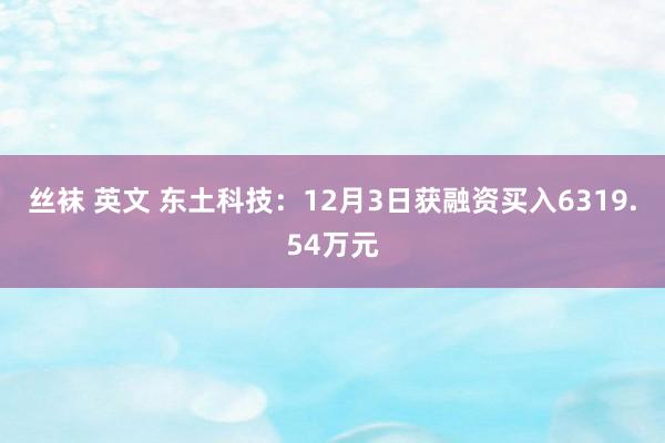 丝袜 英文 东土科技：12月3日获融资买入6319.54万元