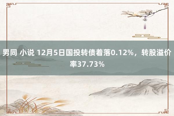 男同 小说 12月5日国投转债着落0.12%，转股溢价率37.73%