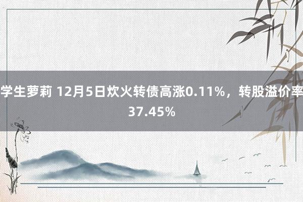 学生萝莉 12月5日炊火转债高涨0.11%，转股溢价率37.45%