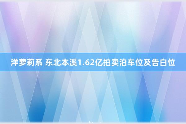 洋萝莉系 东北本溪1.62亿拍卖泊车位及告白位