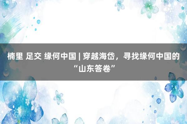 楠里 足交 缘何中国 | 穿越海岱，寻找缘何中国的“山东答卷”