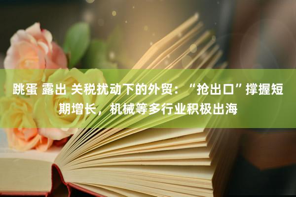 跳蛋 露出 关税扰动下的外贸：“抢出口”撑握短期增长，机械等多行业积极出海