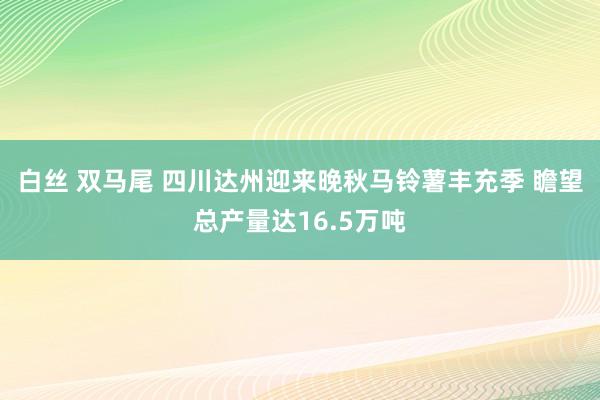 白丝 双马尾 四川达州迎来晚秋马铃薯丰充季 瞻望总产量达16.5万吨