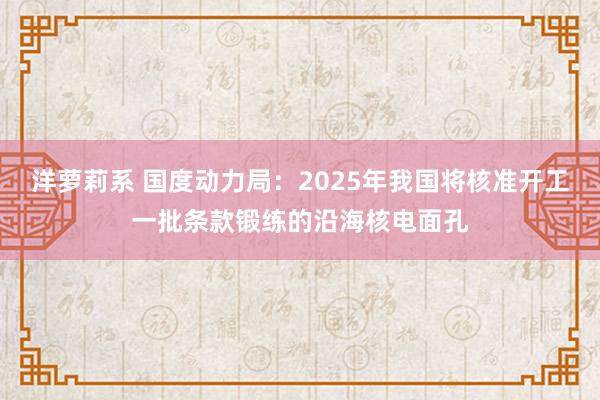 洋萝莉系 国度动力局：2025年我国将核准开工一批条款锻练的沿海核电面孔