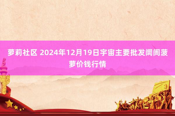 萝莉社区 2024年12月19日宇宙主要批发阛阓菠萝价钱行情